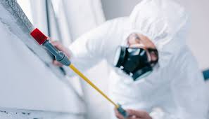 Best Residential Pest Control  in Ponderosa Park, CO